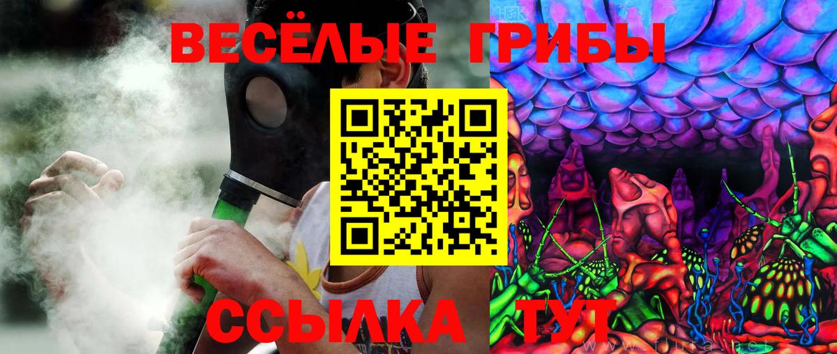 Псилоцибиновые грибы Cubensis  Галлюциногенные грибы прущие грибы  Белгород  Вход с VPN 